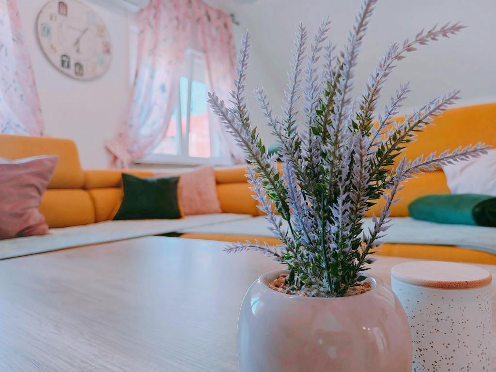 un jarrón con una planta sobre una mesa en una sala de estar en Zagreb, Apartman Jezz, en Zagreb
