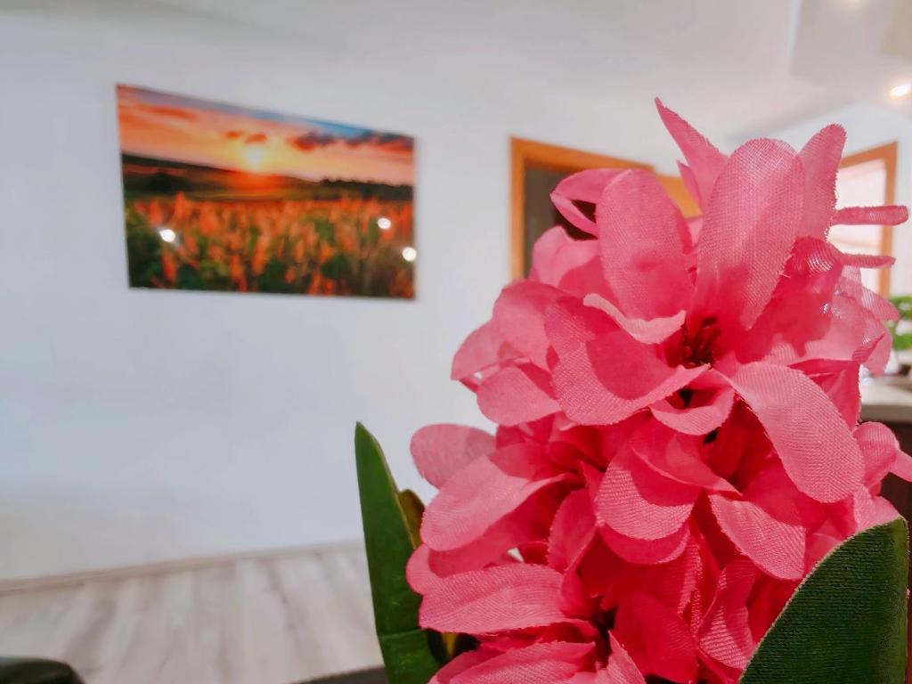 Zagreb, Apartman Jezz - 13