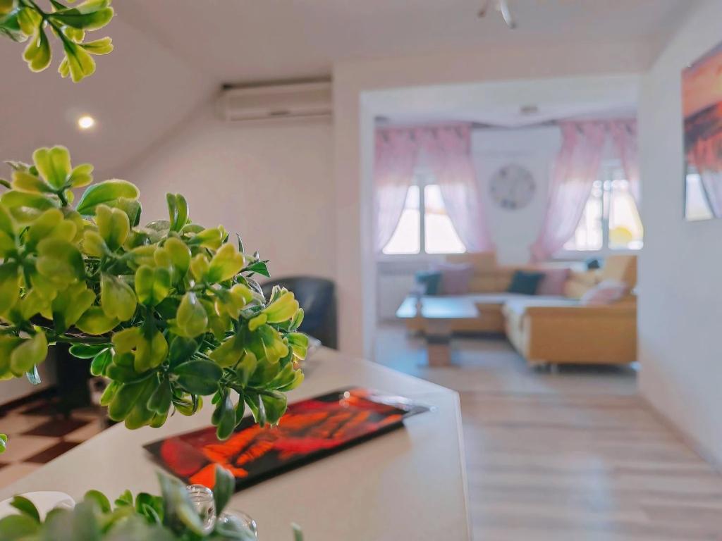 Zagreb, Apartman Jezz - 12