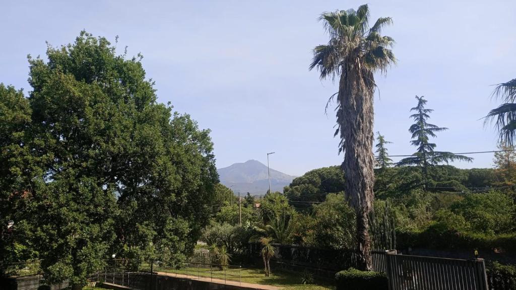 Un paisaje natural cerca del departamento