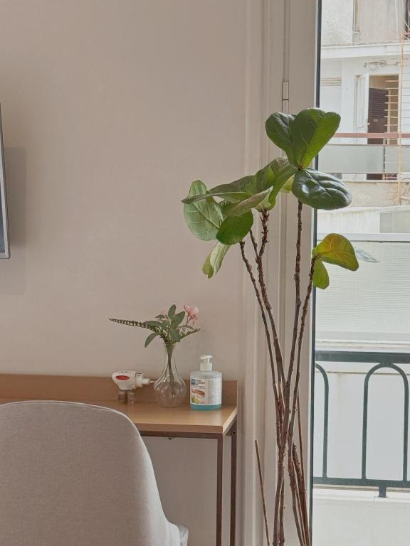 Syntagma Square - Resim 37