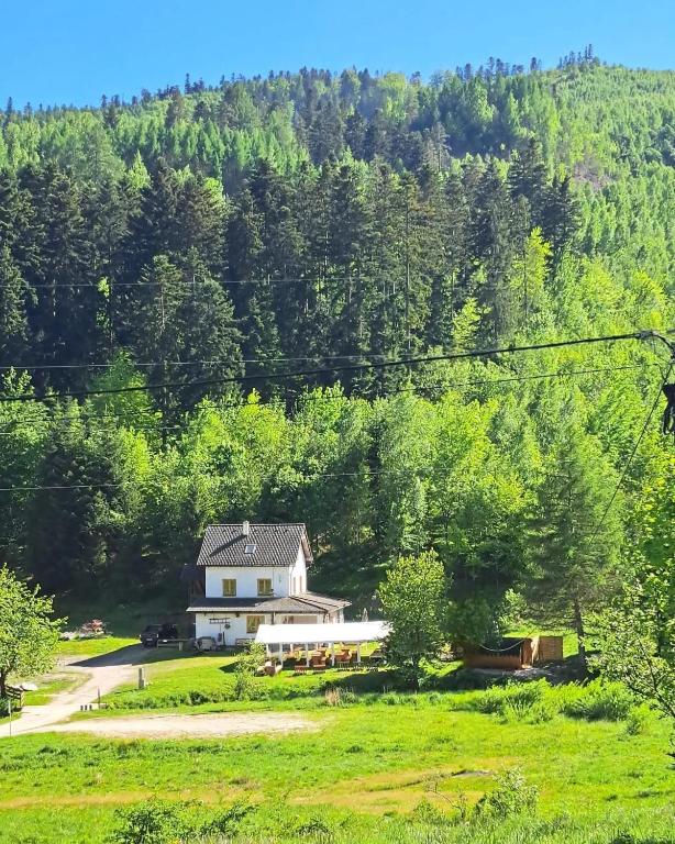 a house in the middle of a field with trees at Apartmán za Holubnicou in Spišská Nová Ves