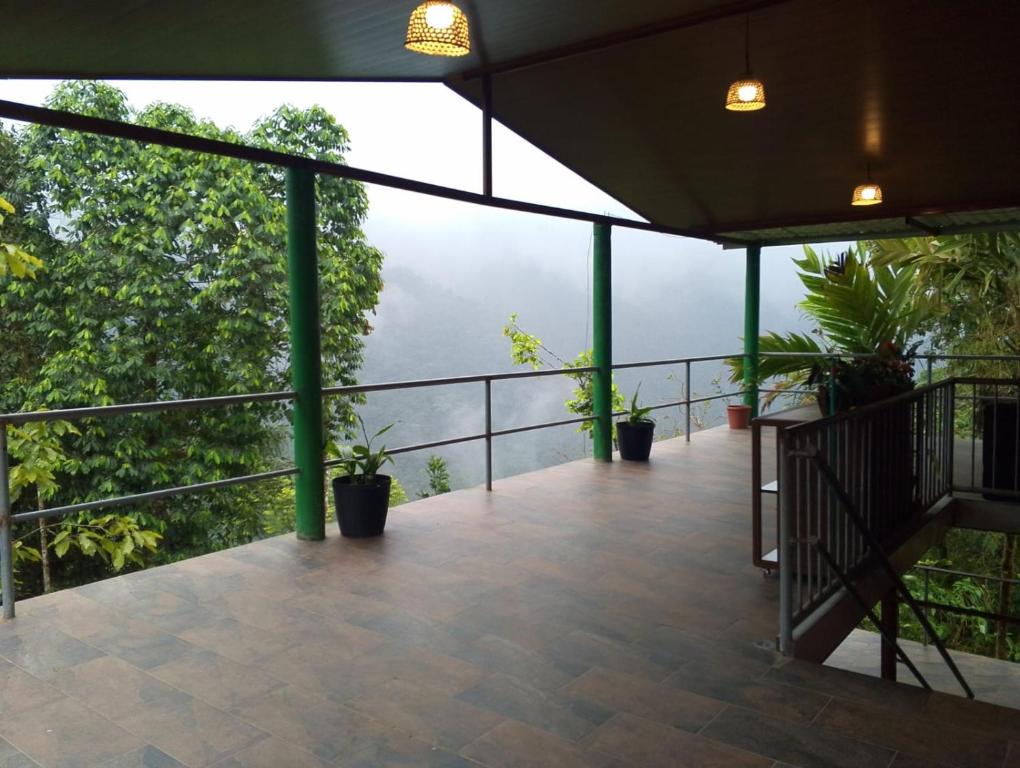 a balcony with potted plants and a view at Mashpi Amagusa Lodge in Mashpi