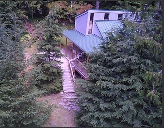Zahrada ubytování Private Cozy 3 BR Cabin near Mt Rainier, Sunrise & Crystal Mt Hiking