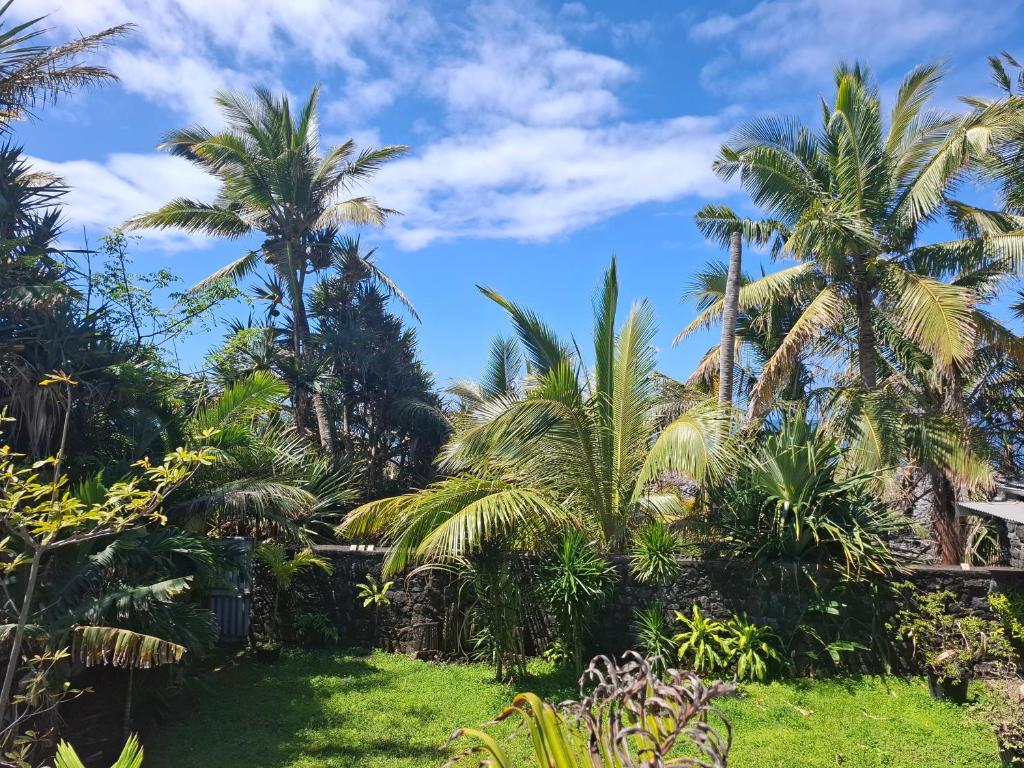 einen Garten mit Palmen und blauem Himmel in der Unterkunft Ti Kaz Fifine, bord de mer in Sainte-Anne