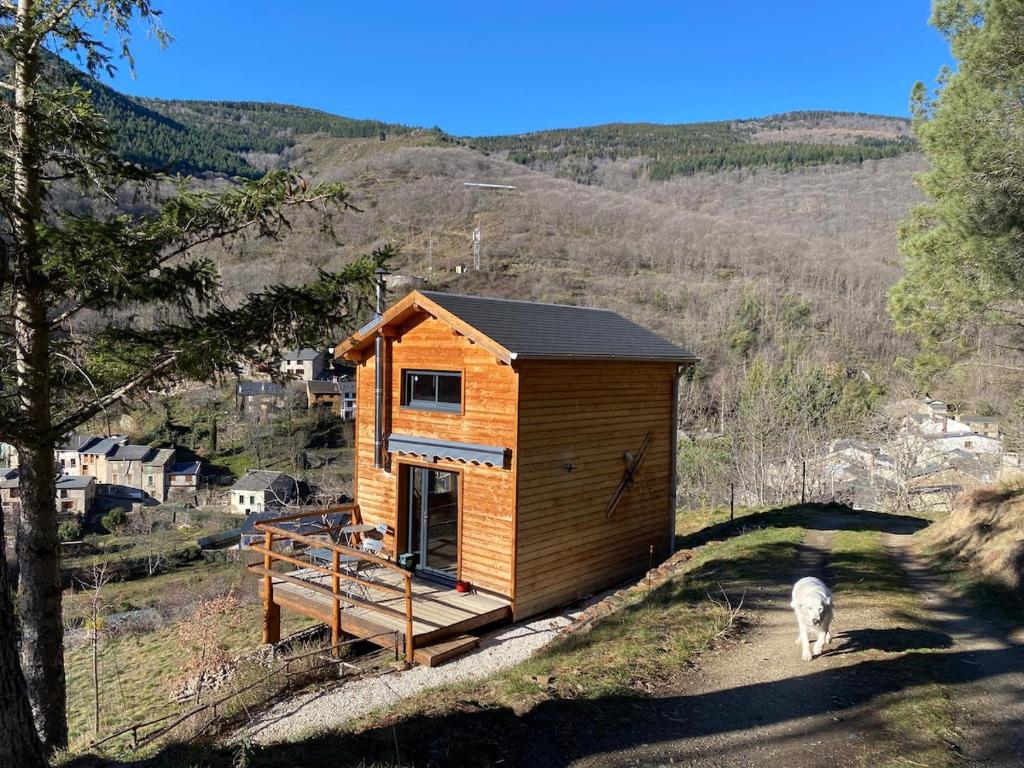 a tiny house with a dog standing next to it at chalet bois montagne Urbanya Occitanie in Urbanya