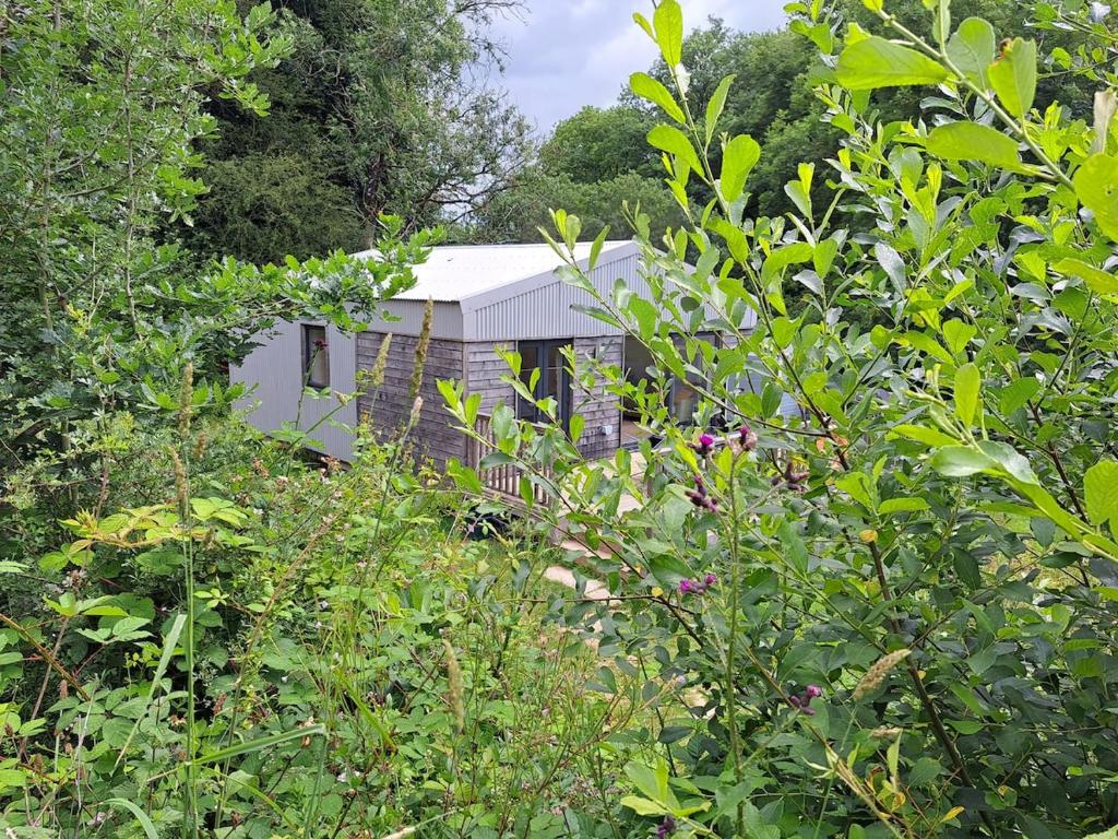 a house in the middle of a garden with trees at The Lake House-an utterly private cabin on nature reserve & hot tub in Oakford
