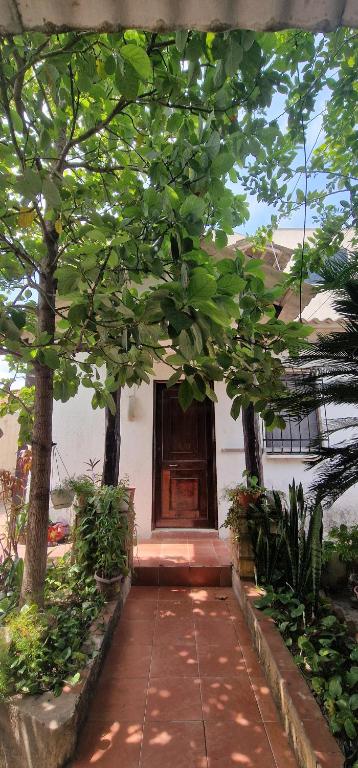 Jardí fora de Villa flor