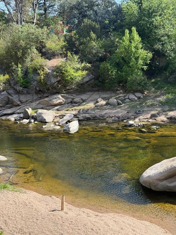 Ohana Apartments (solo familias)