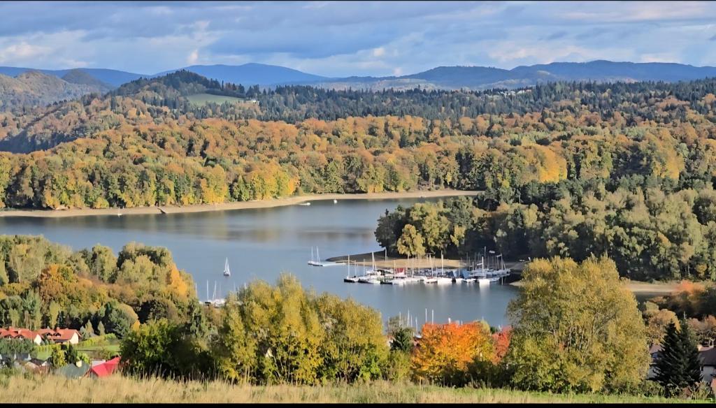 a view of a lake with boats in the water at ,,KICZARA"Domki ogrzewane punkt widokowy Jezioro Solińskie w Polańczyku 601-806-454 in Polańczyk