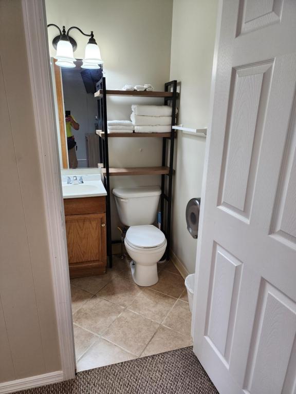 Un baño con inodoro, lavabo y espejo. en Dunnstown Lodge, en Lock Haven