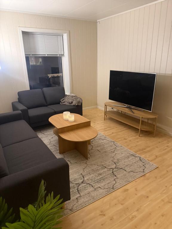 een woonkamer met een bank en een flatscreen-tv bij Tromsø Stay in Tromsø