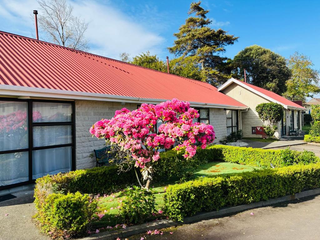 Awatea Park Motel - Resim 12