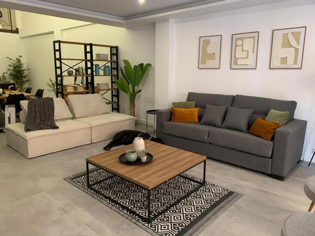 duplex alicante