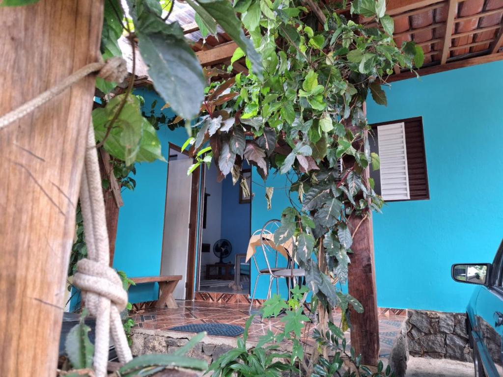 une chambre avec un mur bleu et quelques plantes dans l'établissement Casa 800m da praia do Curral, à Ilhabela