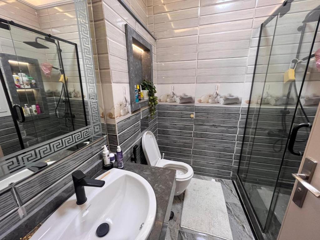 Sheikh ZayedThe white kingdom的带水槽和马桶的浴室