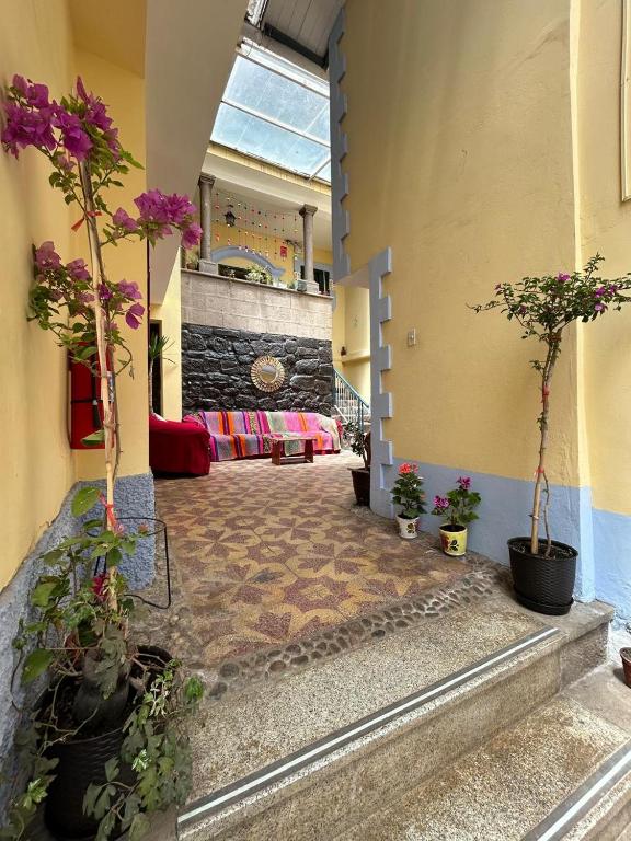 a hallway with potted plants and flowers in a building at HOTEL PALACE DIAZ inn in Cusco