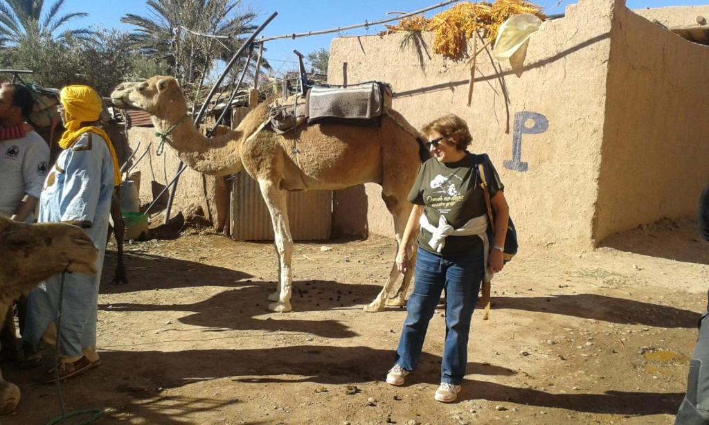 a woman standing in front of a camel at Dar dmana chez l'habitant in Skoura