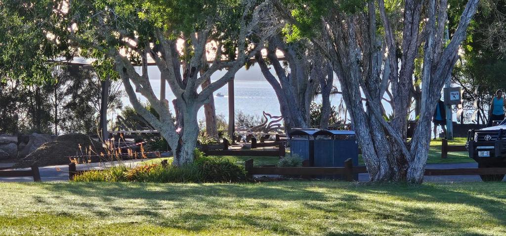 a park with trees and a view of the water at Spacious - Sunrise over the sea in Urangan