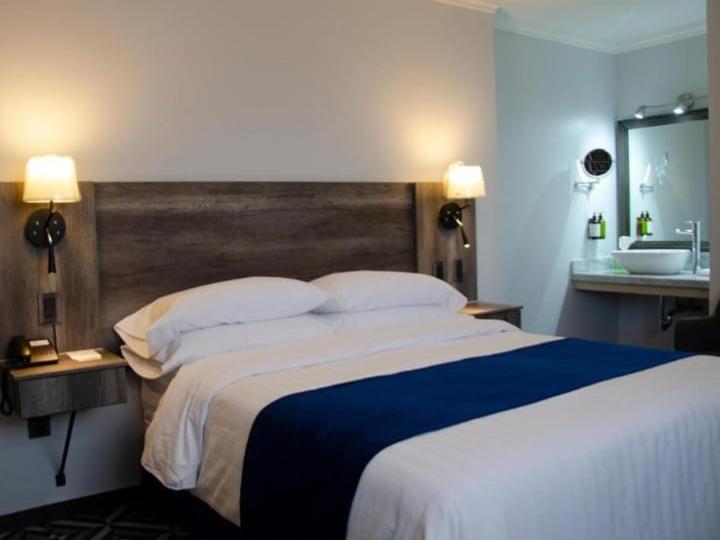 a bedroom with a large bed and a sink at luz y vida 