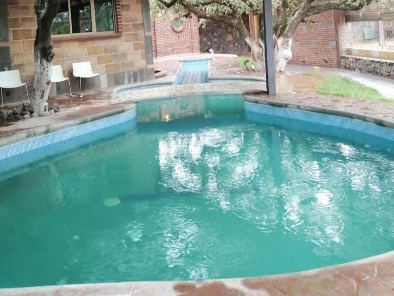 Gallery image of luz y vida 