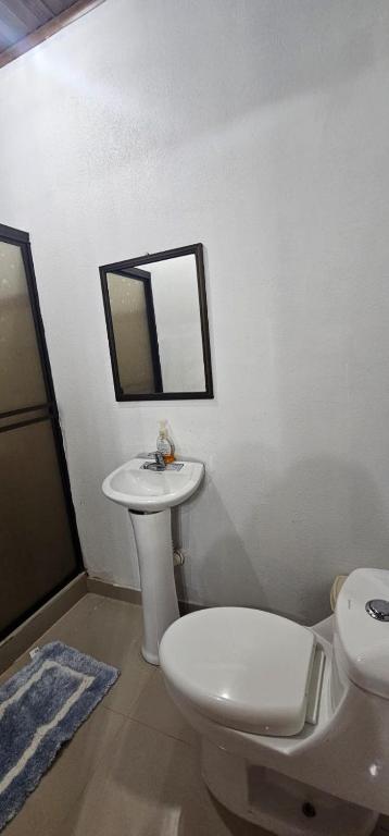 a bathroom with a toilet and a sink and a mirror at cabinas langosta feliz in Savegre