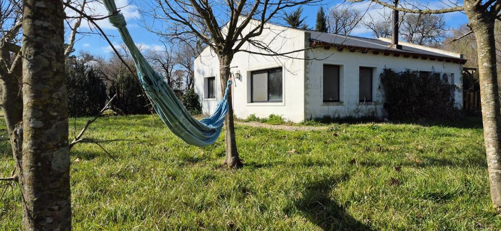 a hammock in a yard next to a house at La Casita del Monte in San Miguel del Monte