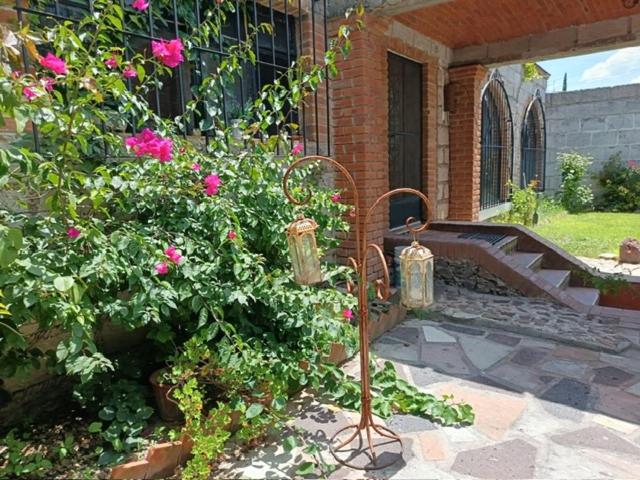 a pair of lights in front of a bush with pink roses at Villa Colibri in Tequisquiapan