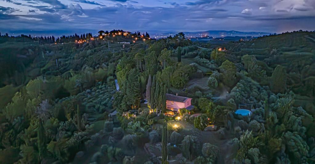 an aerial view of a forest of trees at night at Agriturismo Settesoldi in San Miniato