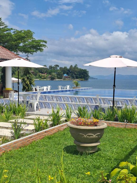 ein großer Blumentopf, der auf dem Rasen neben einem Pool steht in der Unterkunft Juma cottages in Tuk Tuk