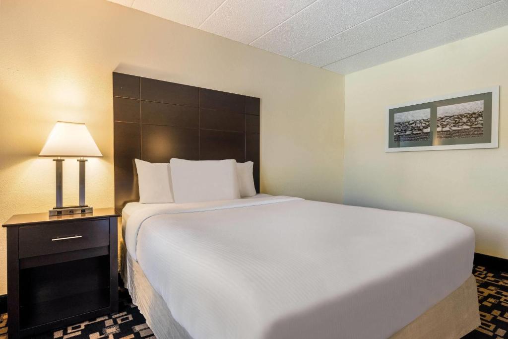 Baymont by Wyndham Bloomington MSP Airport - Queen Room - Non-Smoking
