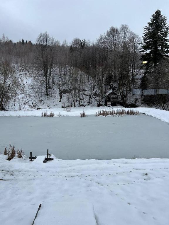 Те Село om vinteren