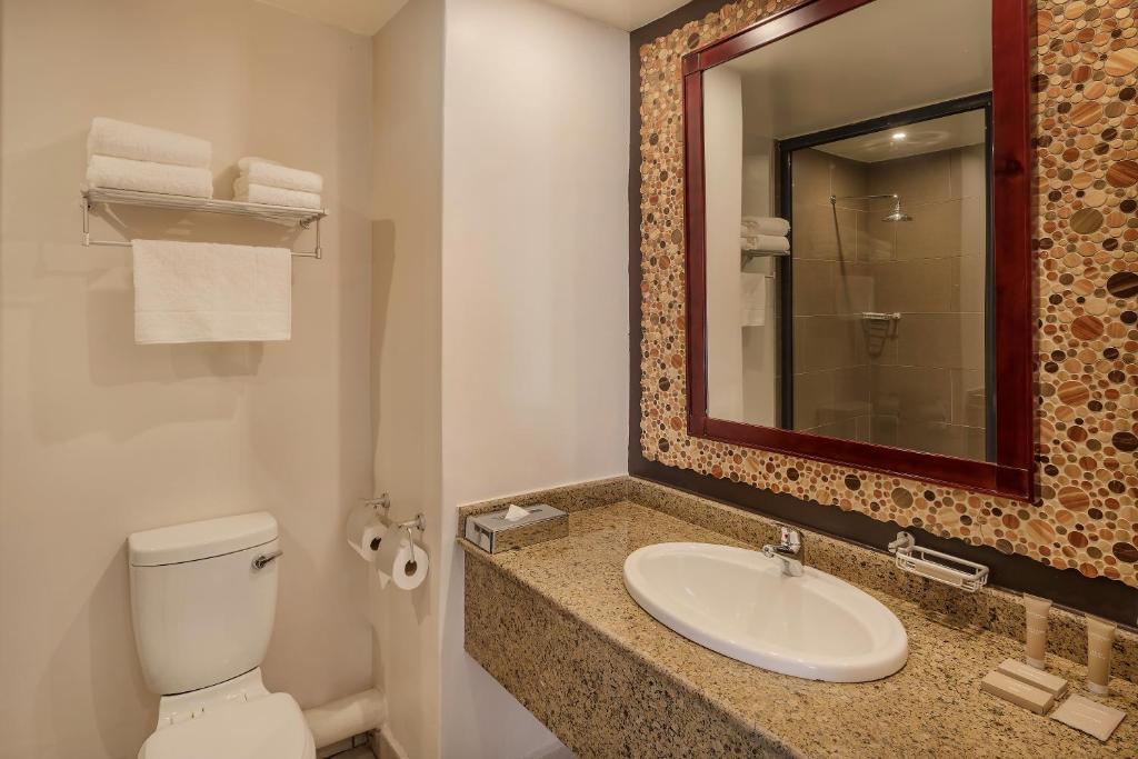 Protea Hotel by Marriott Ndola - Chambre, 1 Lit King Size, Vue Sur Le Jardin