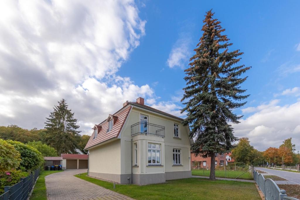 a small white house with a tree in the yard at StrandLiebe am Strandbad in Malchow