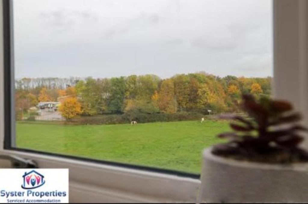 Una ventana con una planta en maceta frente a un campo verde. en Syster Properties Stunning Apartment for Contractors and families, en Leicester