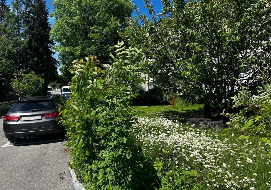 Charmantes Apartment - Resim 24