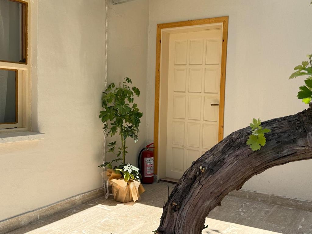 a door of a house with two potted plants at With the comfort of home in Kemer