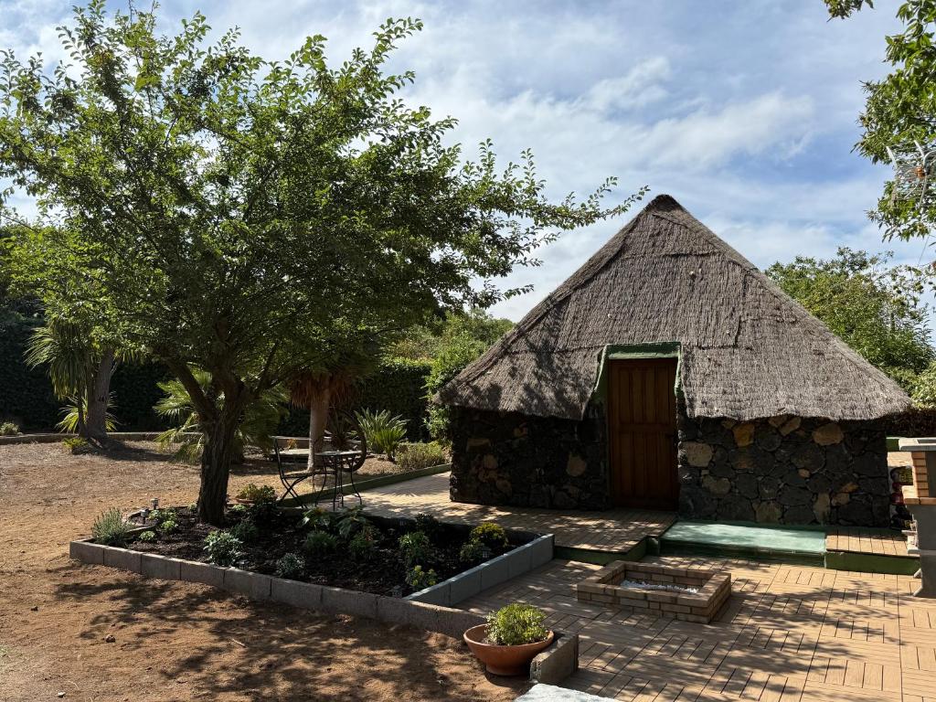Κήπος έξω από το Finca de la Montaña - Cabaña
