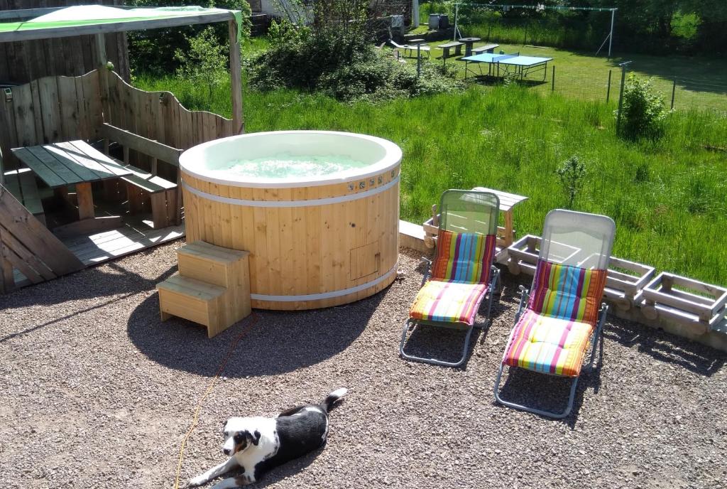 Un perro parado frente a un jacuzzi y dos sillas. en Entre-parenthèses, en Vagney