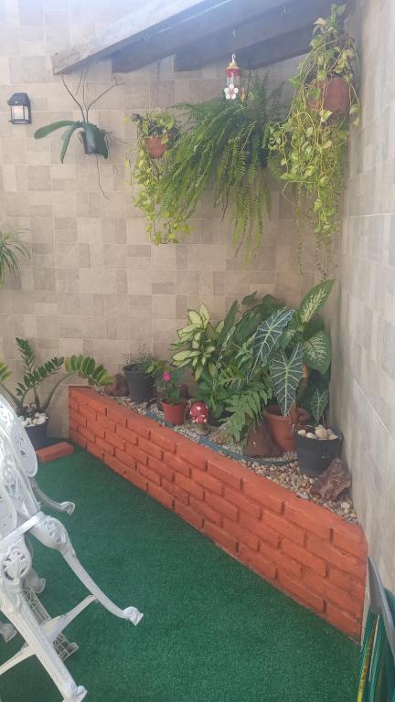 En have udenfor Casa temporada