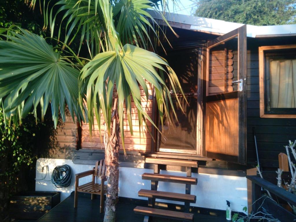 Φωτογραφία από το άλμπουμ του The Papangue's Nest σε Saint-Leu