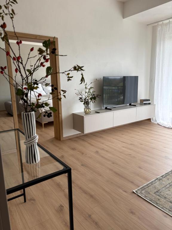 sala de estar con TV y jarrón con flores en Apartmán Beatrice B308, en Veselé