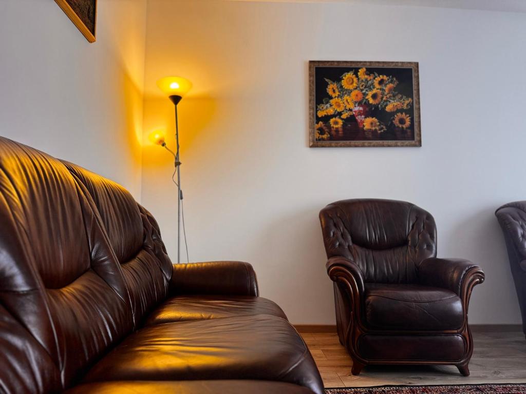 a living room with a leather couch and a chair at Brasov 35 Classic in Braşov