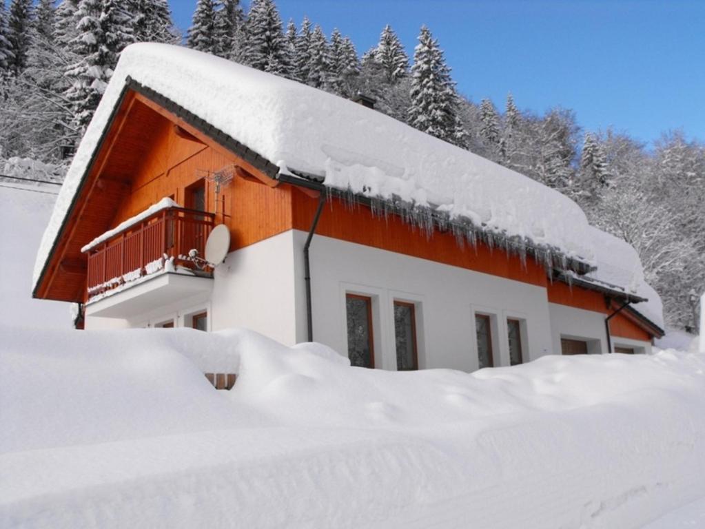 ein schneebedecktes Haus mit Bäumen im Hintergrund in der Unterkunft Apartment U Erlebachů in Černý Důl