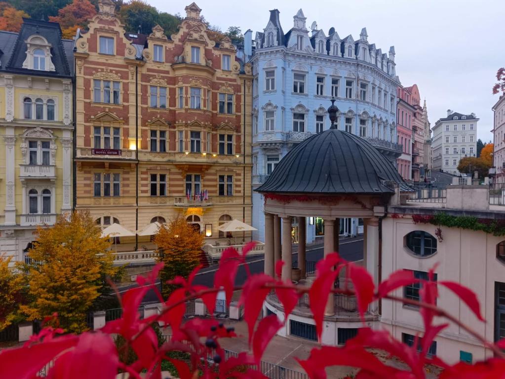 Hotel Ester - Resim 8