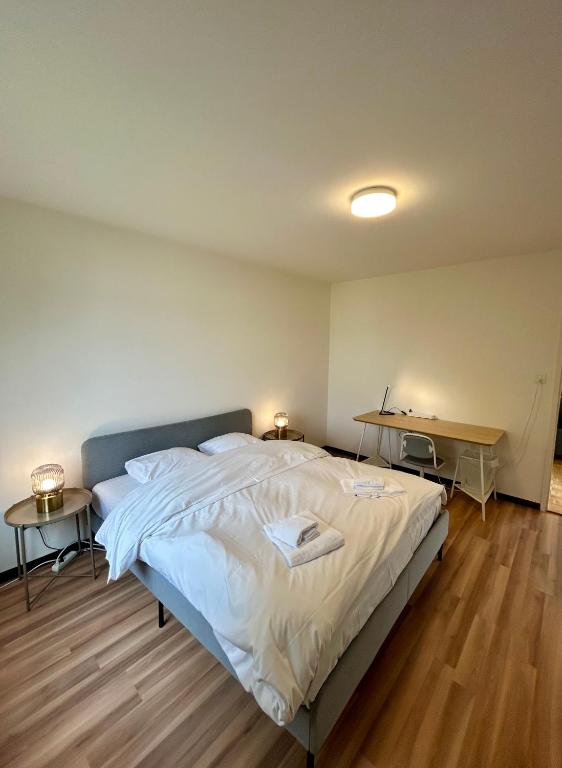 Schwandenwiesen 26, 8052 Zurich Switzerland - Resim 12