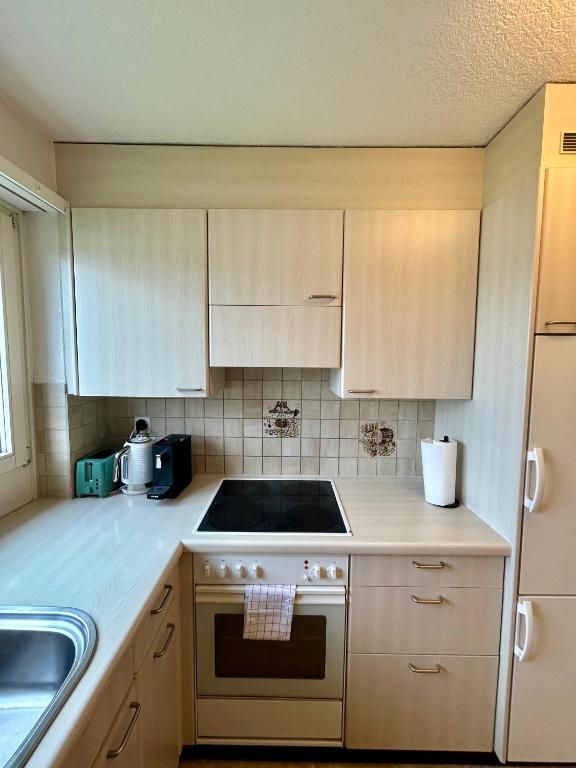 Schwandenwiesen 26, 8052 Zurich Switzerland - Resim 18