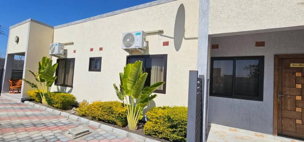 a white building with a door and some plants at Dunslim Apartments in Lusaka