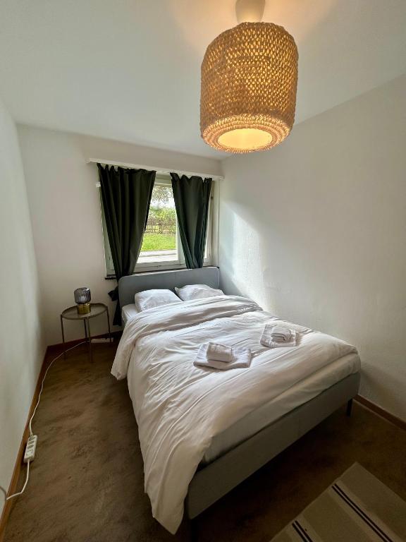 Basic 3BR Flat with Balcony in Zurich - Resim 15