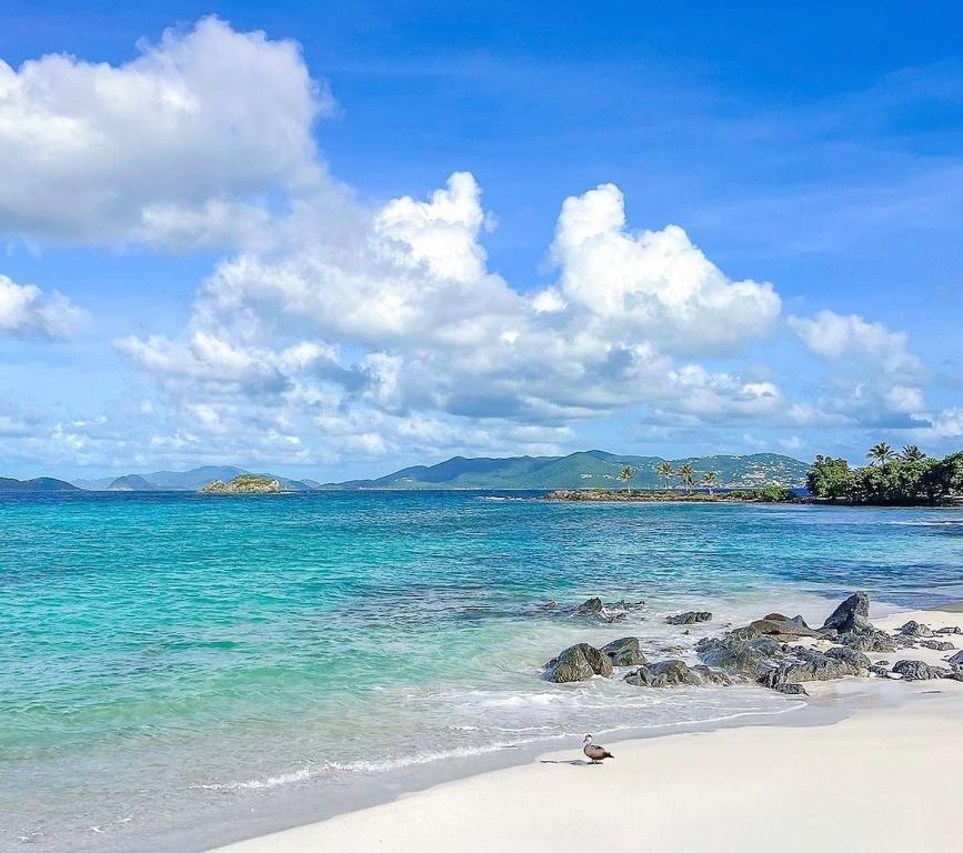 East EndにあるSapphire Beach- Island time!の曇りの日の青い海と岩のあるビーチ